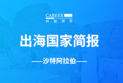 皇朝国际皇朝GO GLOBAL | 沙特阿拉伯国家简报